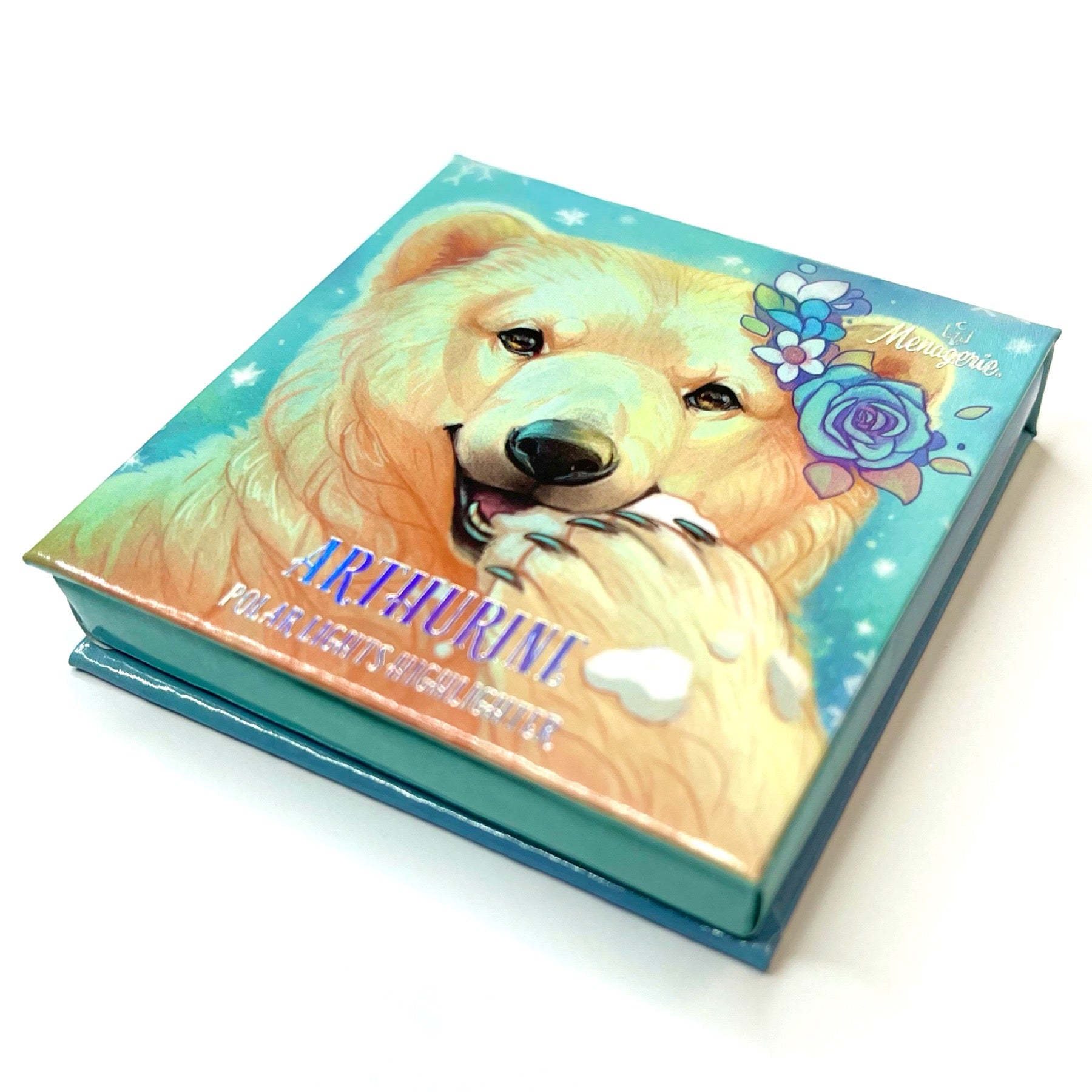 Aurora Australis Polar Lights Highlighter