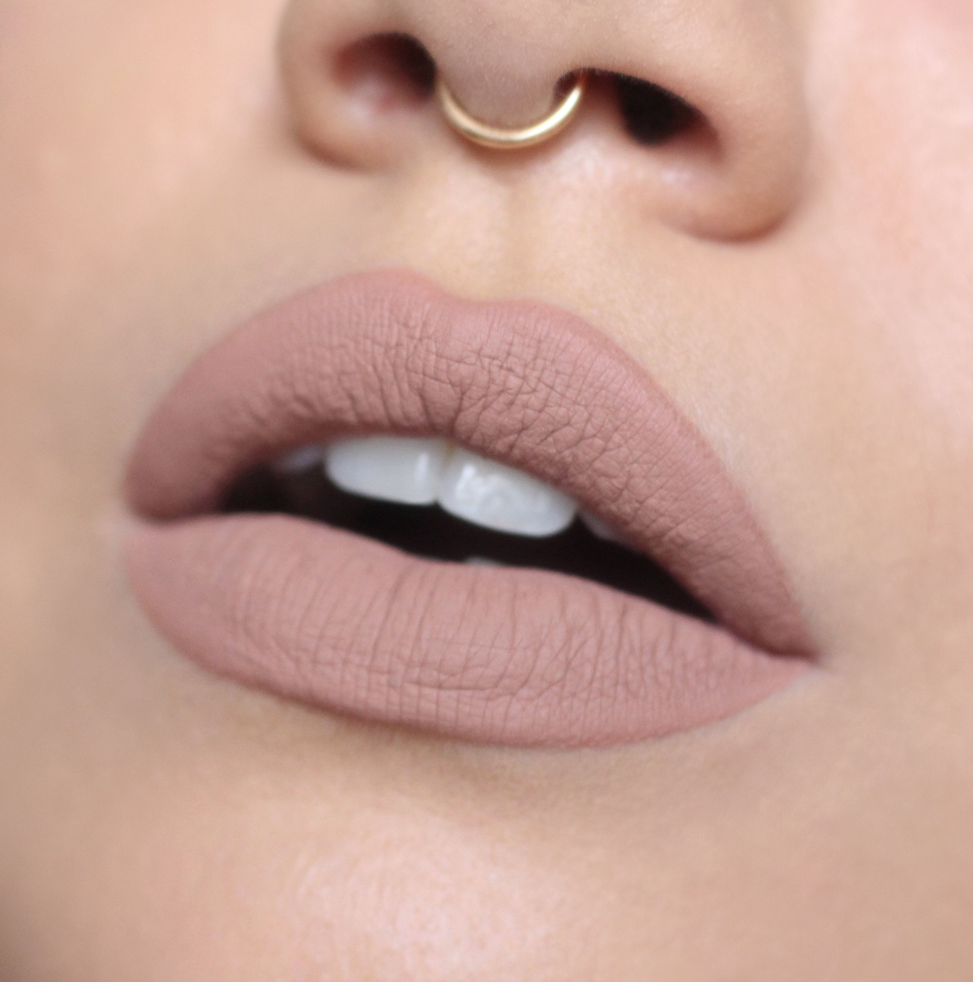 Animal Cookie Velvet Matte Liquid Lipstick